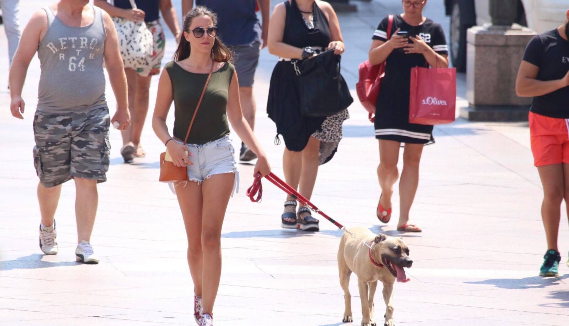 ljeto korzo pas rezana ljeto korzo pas rezana