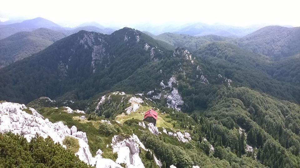 risnjak11
