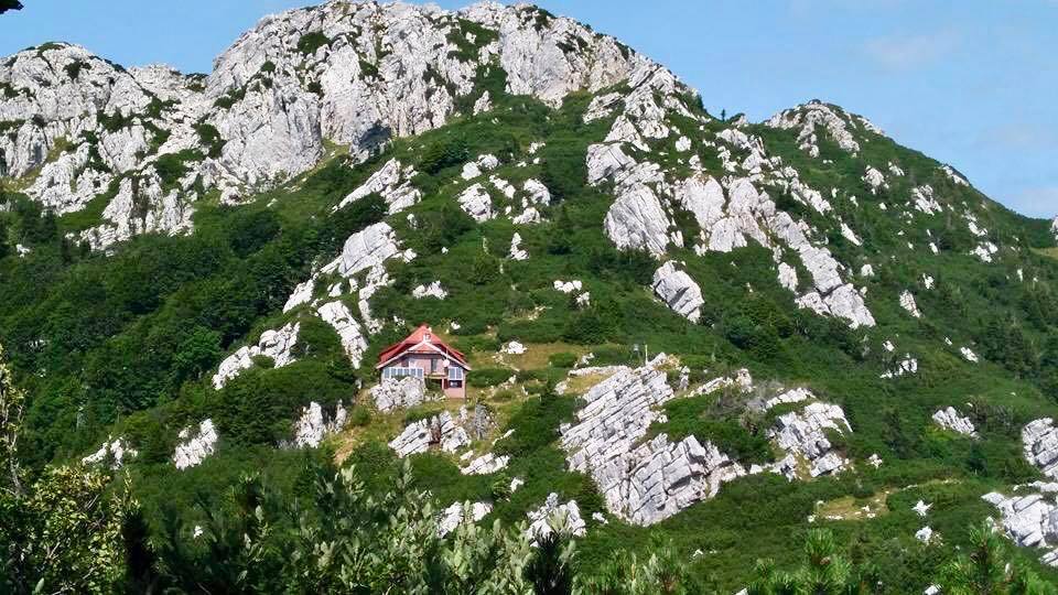 risnjak22