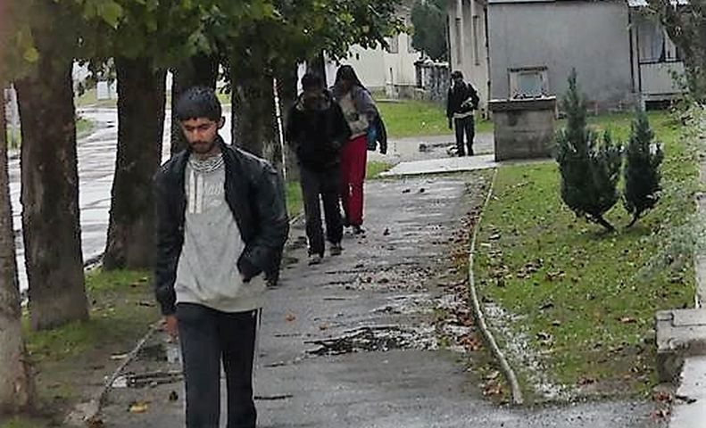 mrkopalj22 mrkopalj22