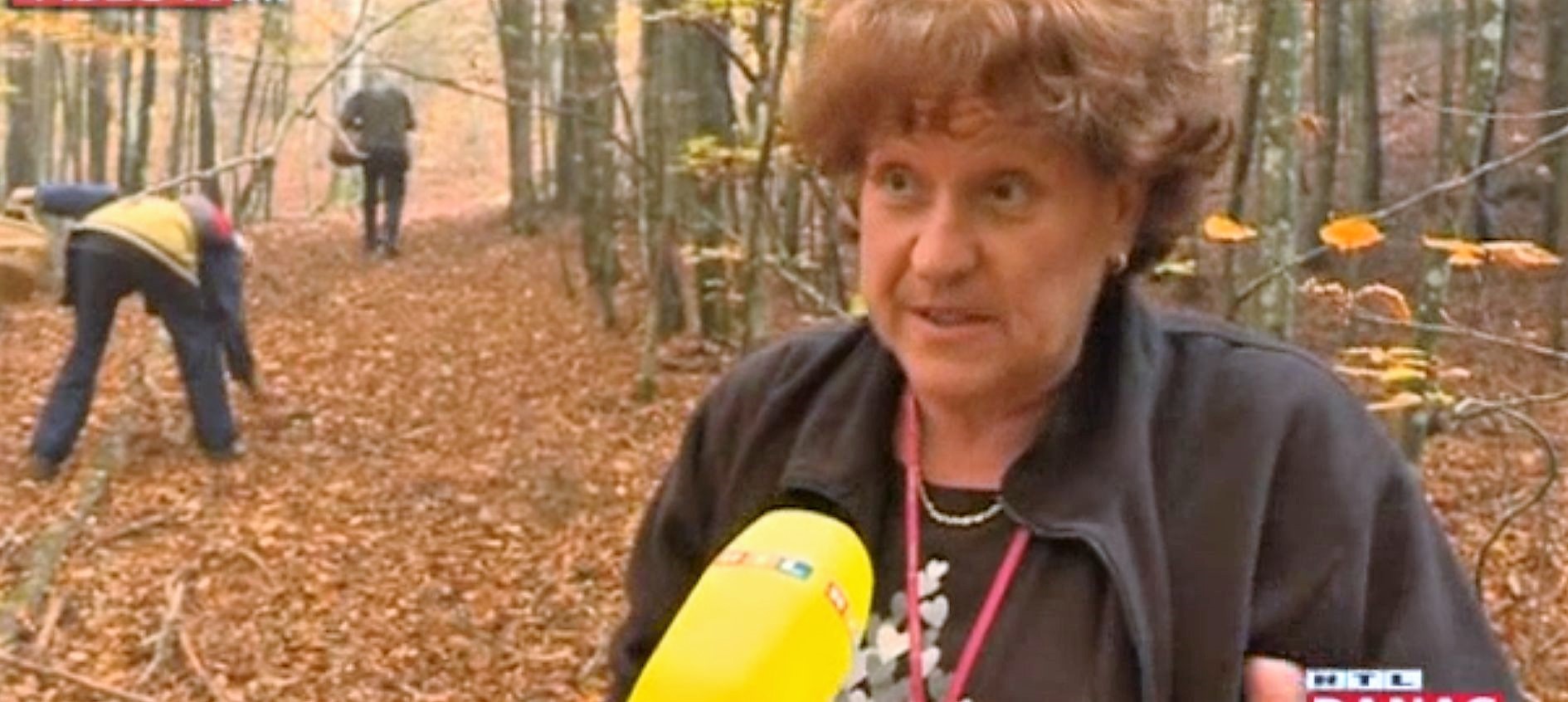 gljive gljivari gorski kotar gljive gljivari gorski kotar