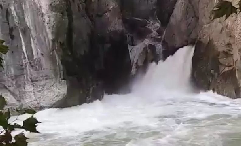 slap ričina bolja