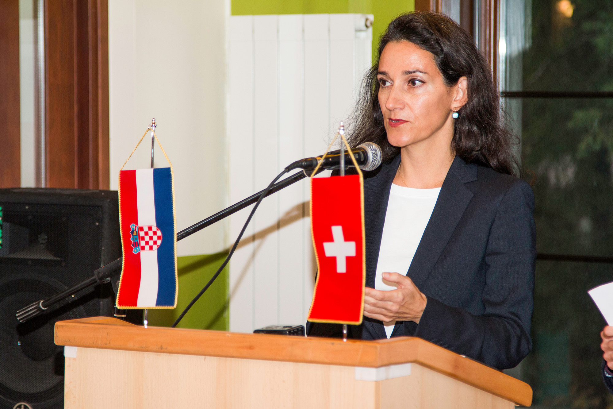 veleposlanica Švicarske Konfederacije veleposlanica Švicarske Konfederacije
