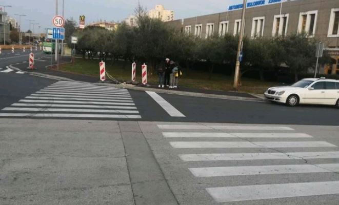 zebra zadar