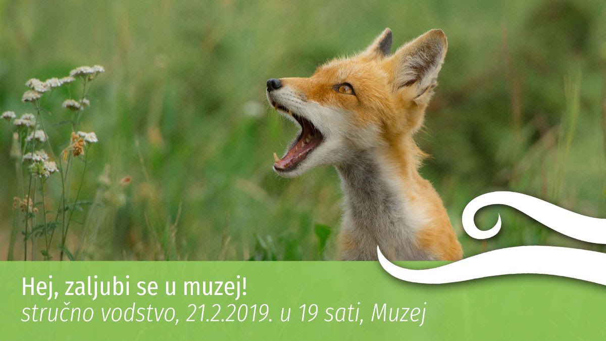 muzej razmnožavanje