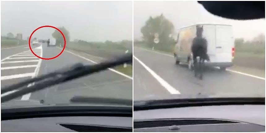 konj kombi