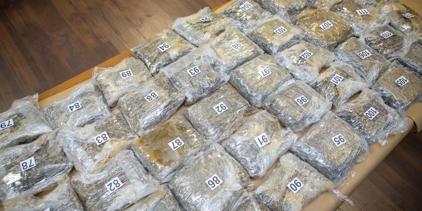 marihuana grgo jelavić pixsell