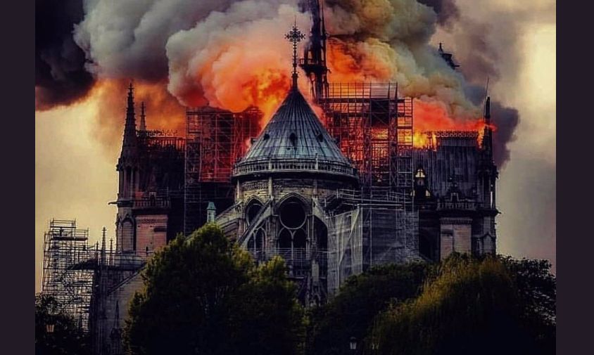 notre dame gori notre dame gori