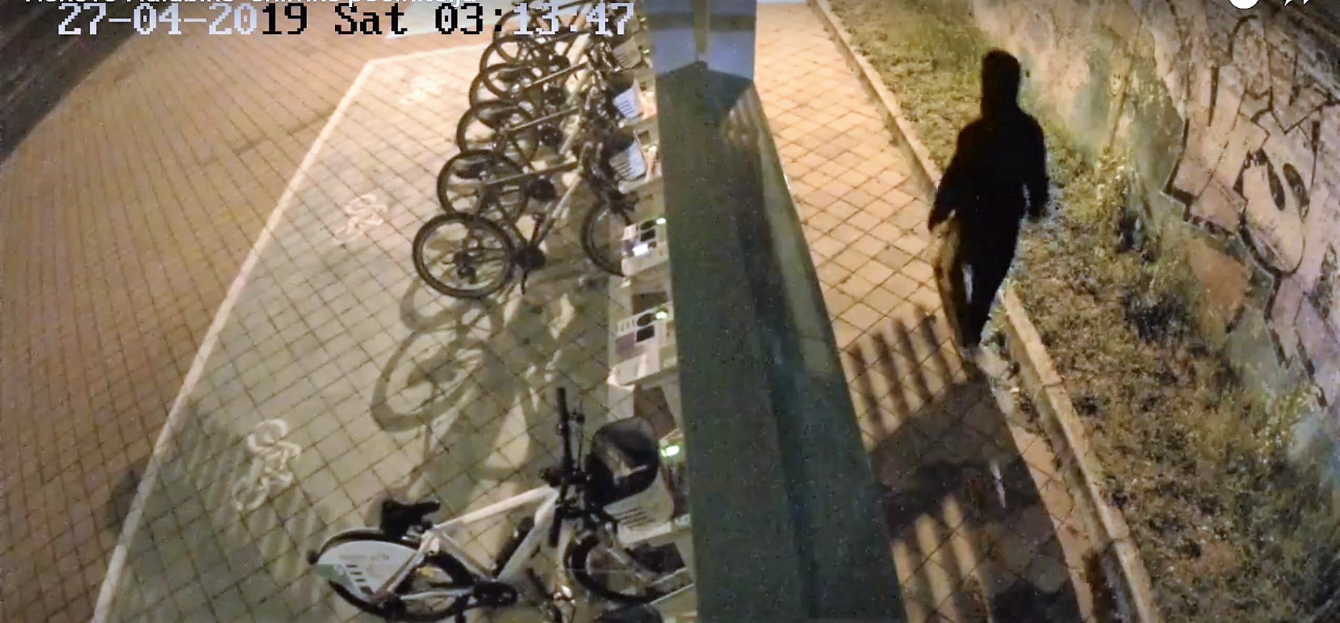 halibike počinitelji