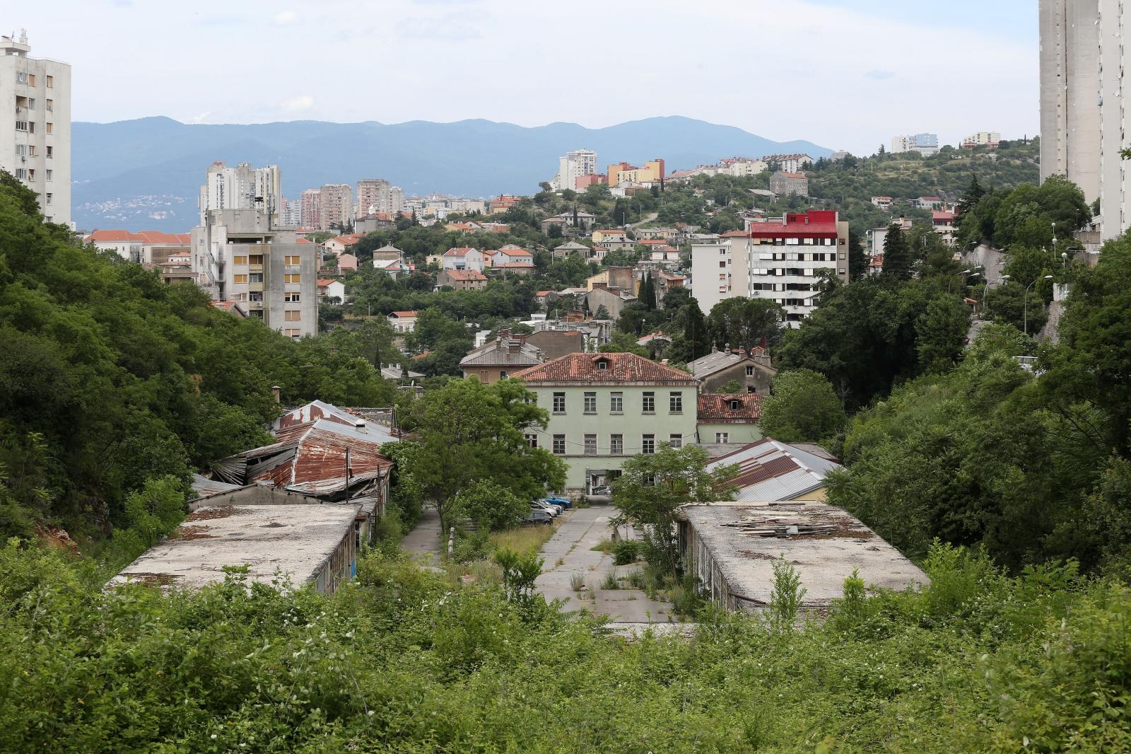 PXL_170619_25062195