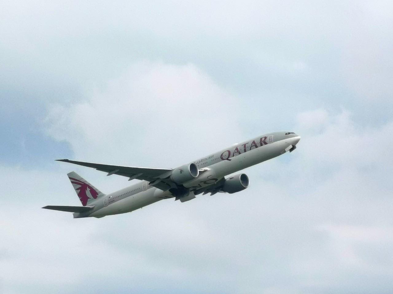avion444 avion444