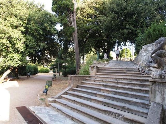 Park-Nikole-Hosta