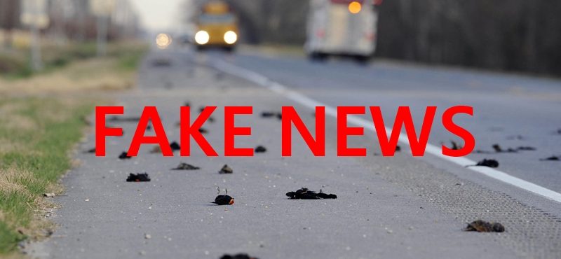 ptice fake news