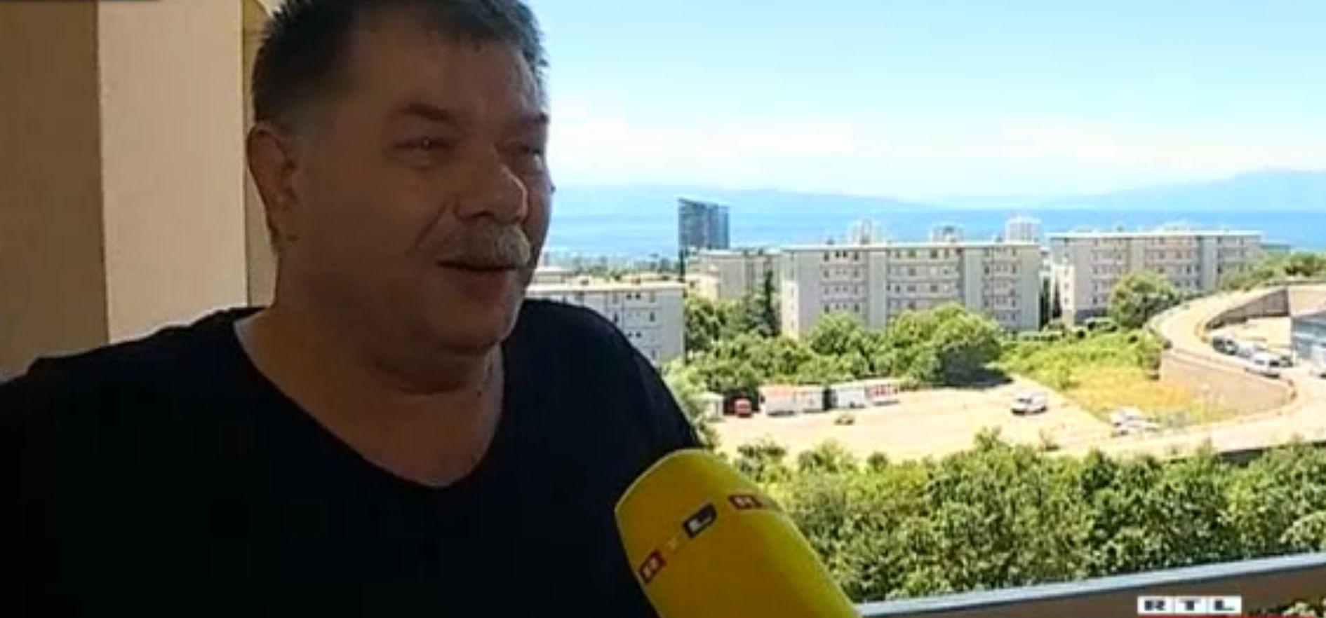 vežica lisice