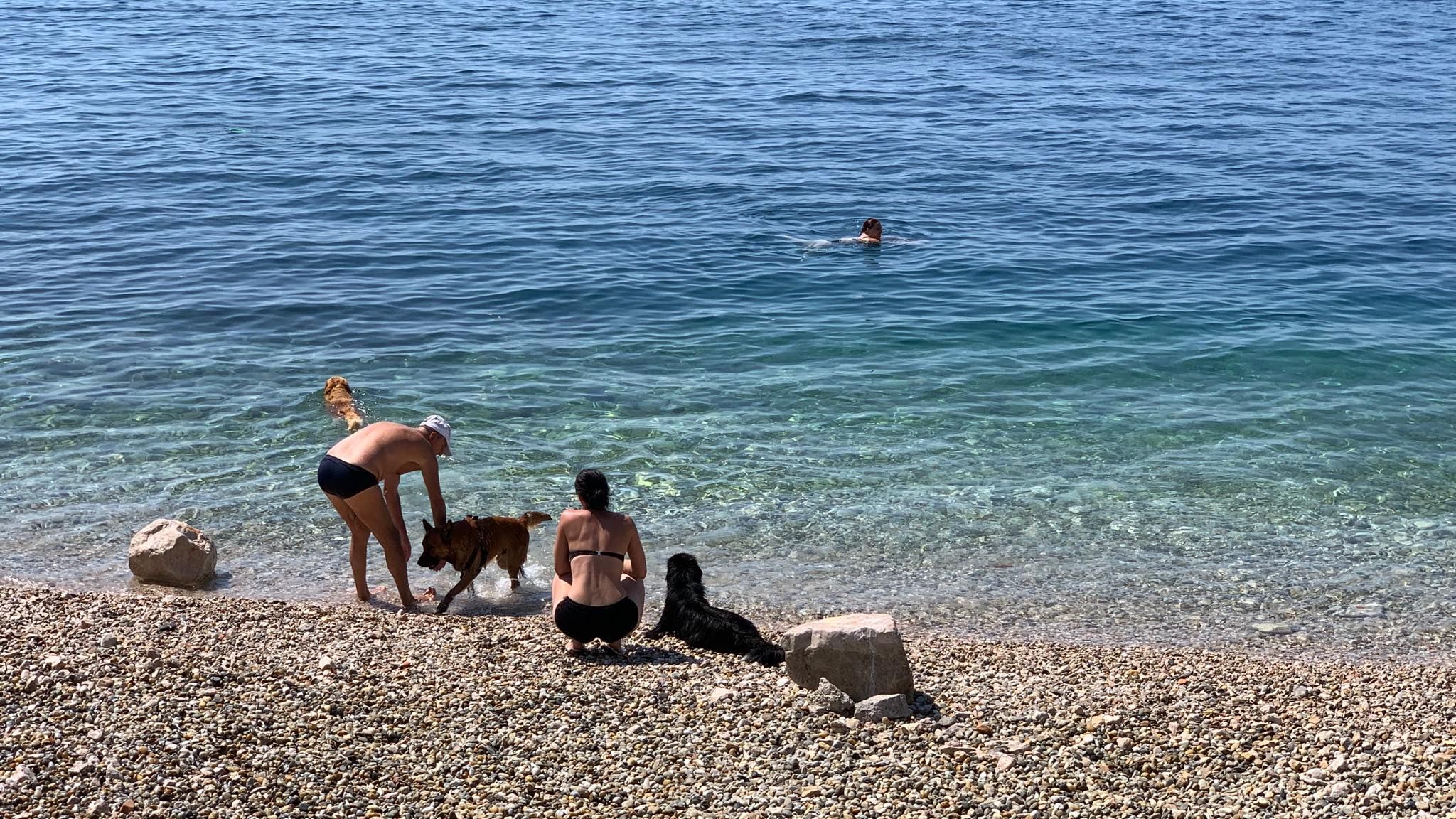 plaža psi pećine3 plaža psi pećine3