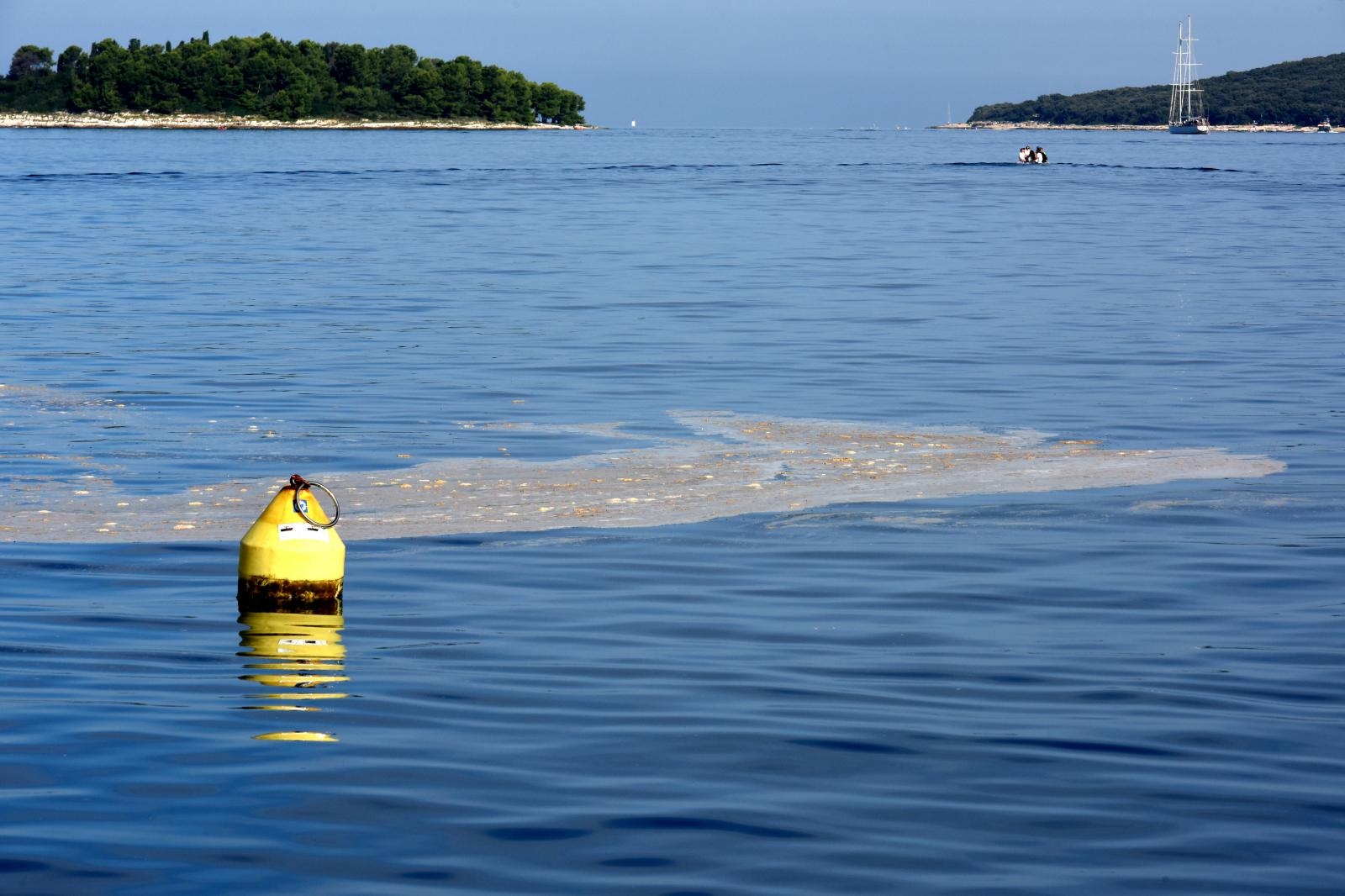 Rovinj: Rovinj: Zagađeno more masnom tvorevinom neugodnog mirisa