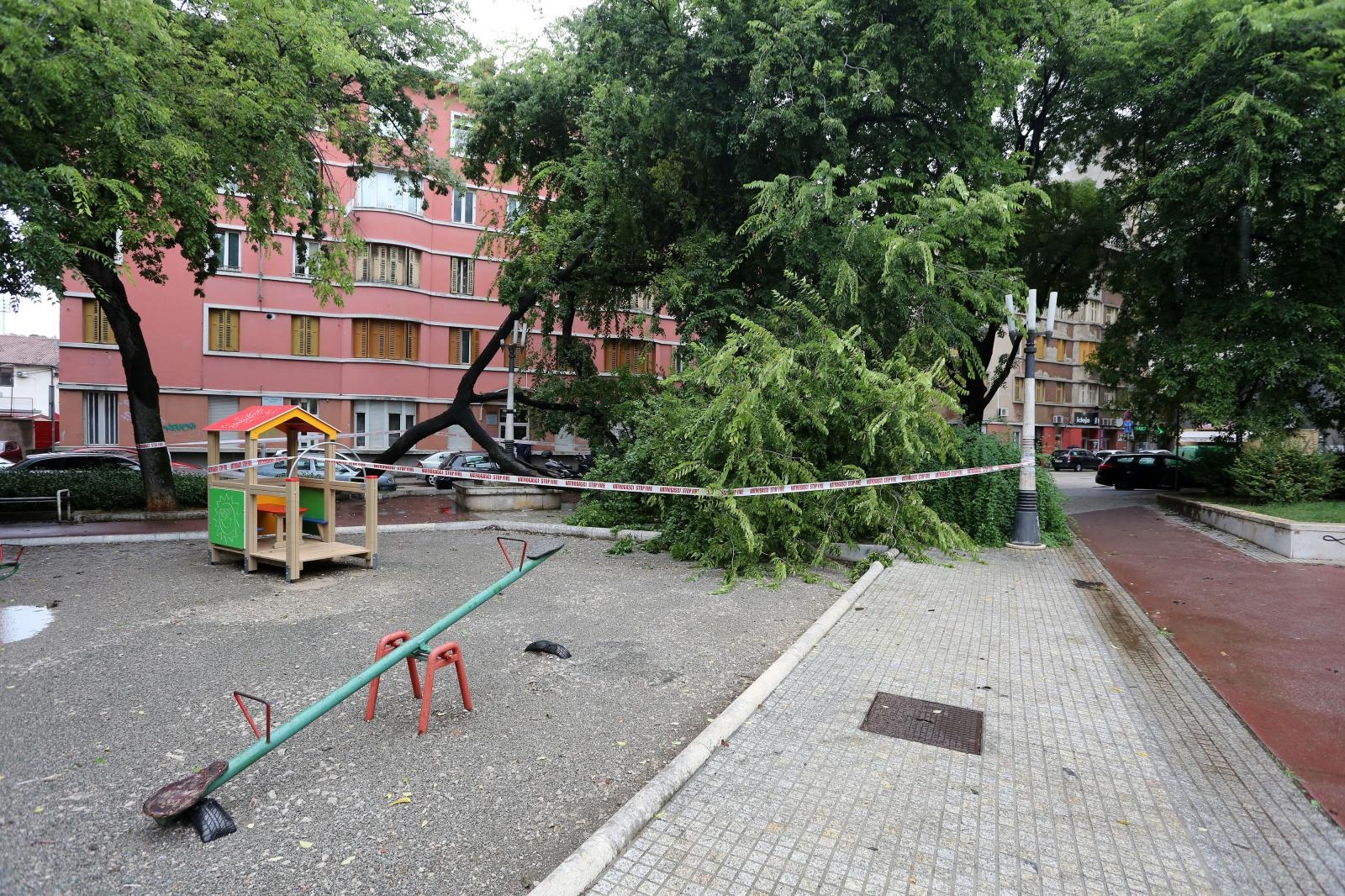 Rijeka: U cnetru grada stablo se srušilo na dječje igralište