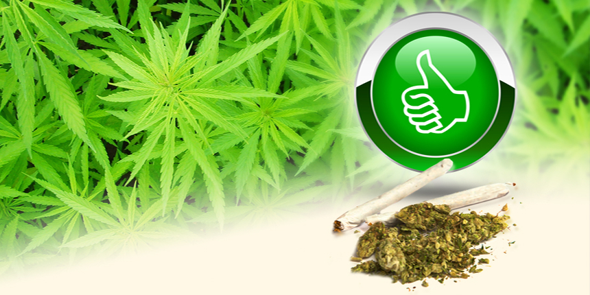 marihuana kanabis rtl