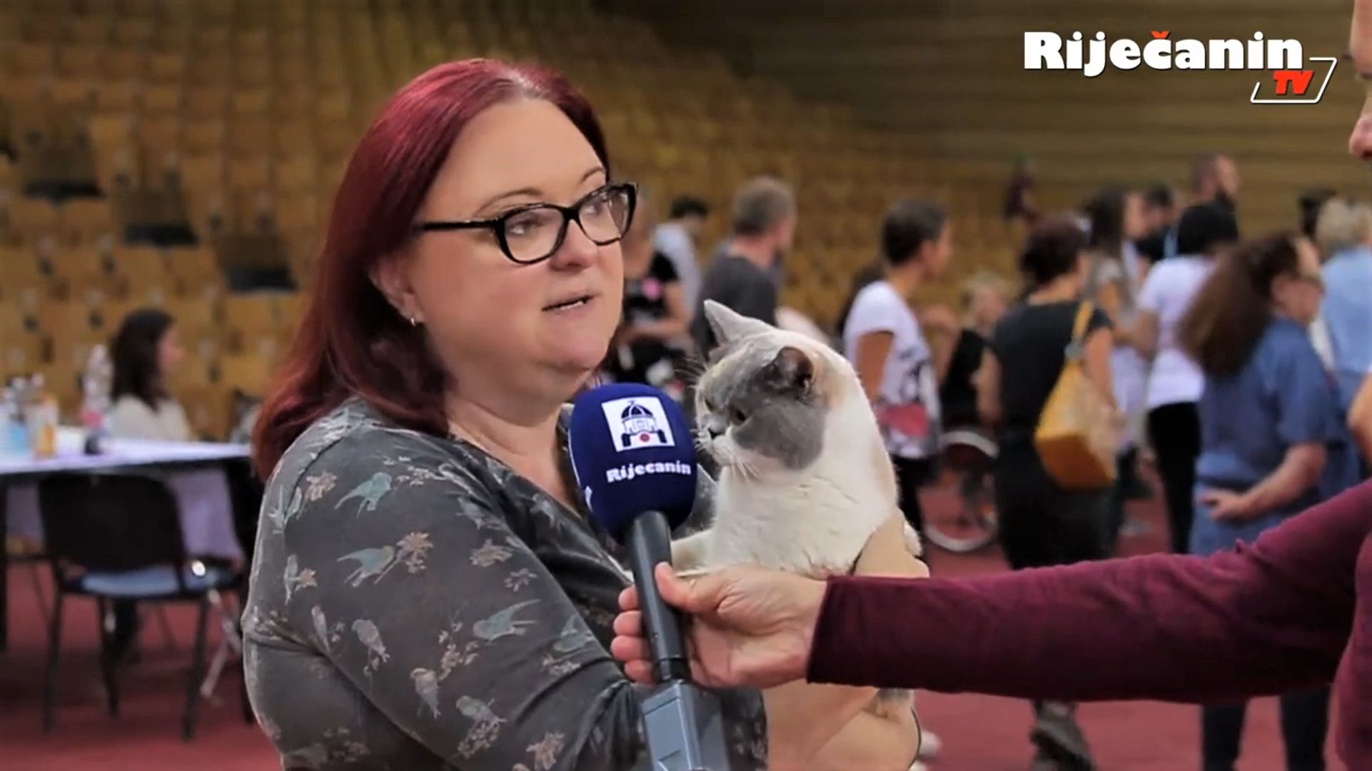 mačke izložba zamet 2019 riječanin tv