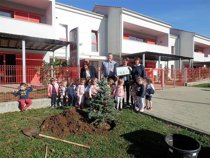 viškovo vrtić stablo viškovo vrtić stablo