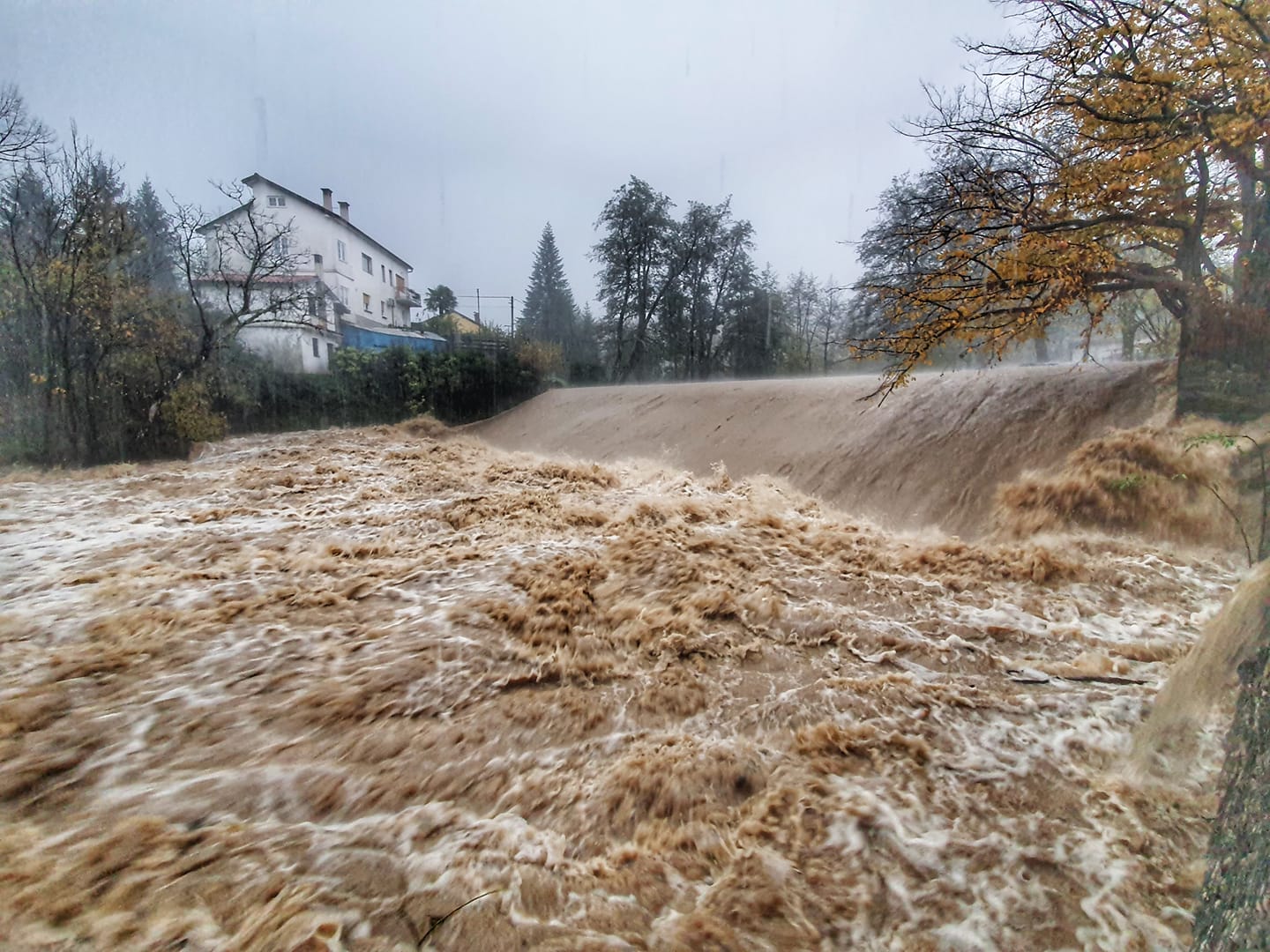 rječina jaz naše jeljenje rječina jaz naše jeljenje