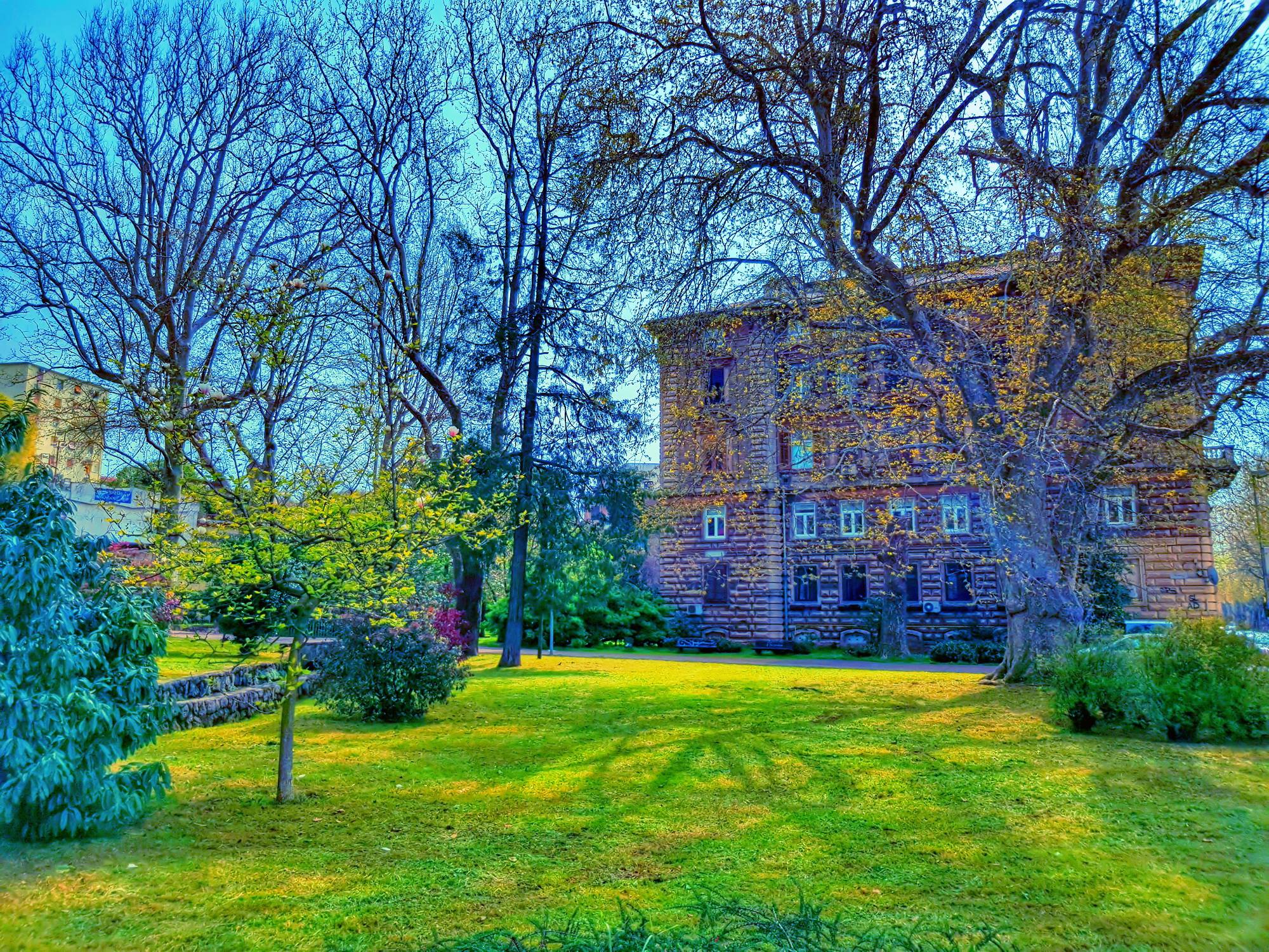 PARK MLAKA predrag šneler