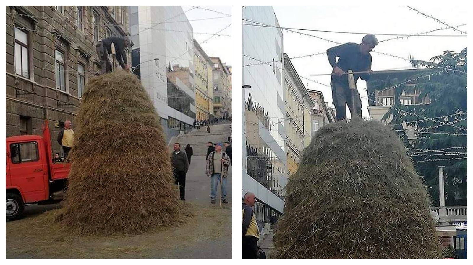 sijeno kolaž mateo