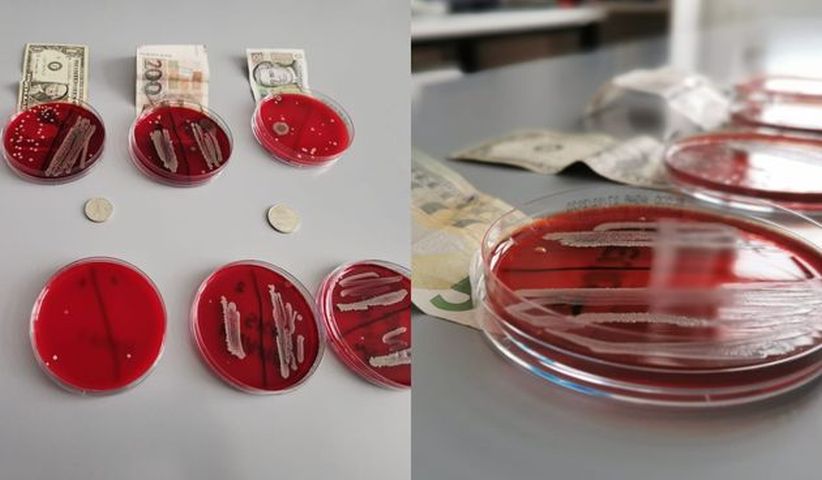 KORONAVIRUS NOVČANICE