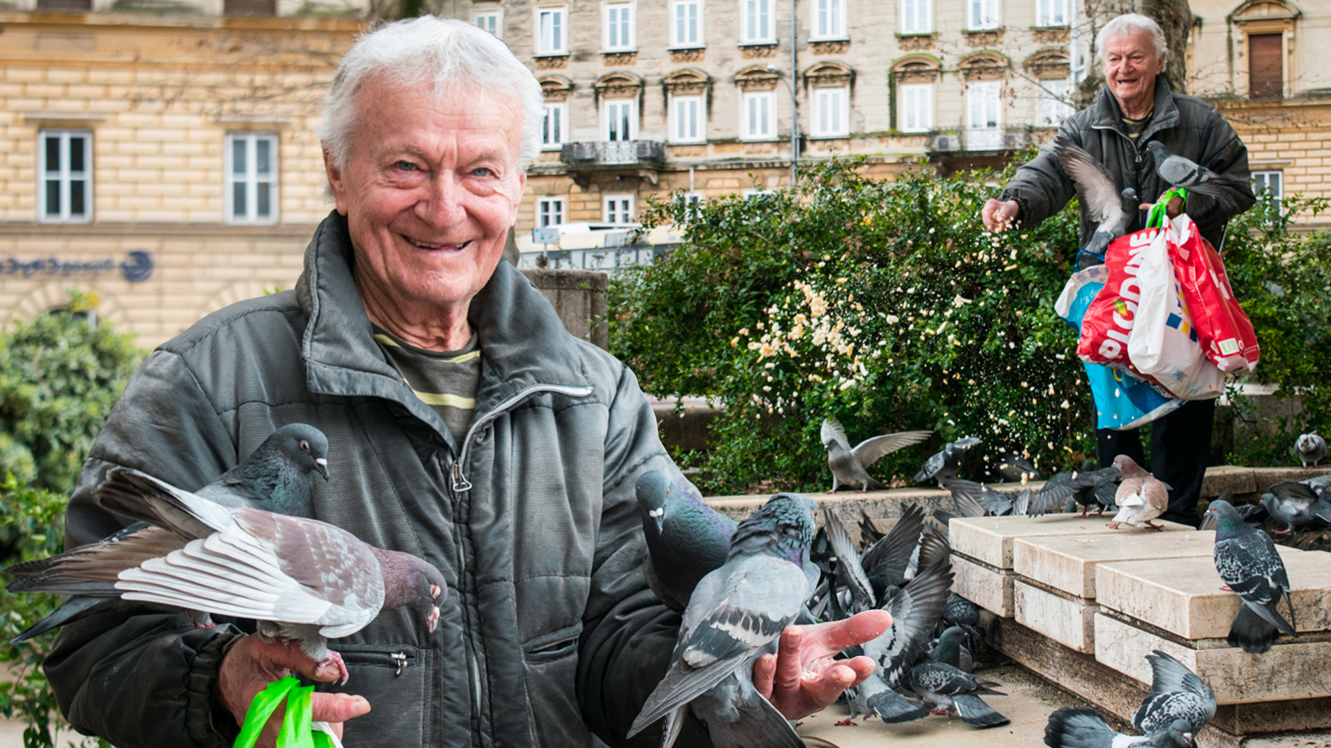 Pigeon Man Pigeon Man
