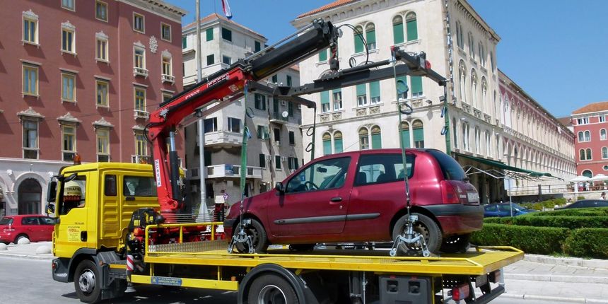 auto pauk pula