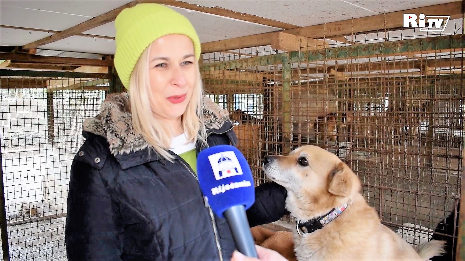 azil za pse reportaža naslovna azil za pse reportaža naslovna