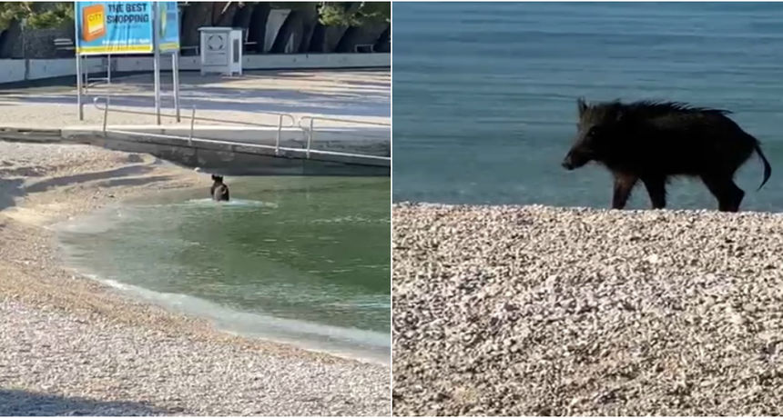 vepar plaža baška voda