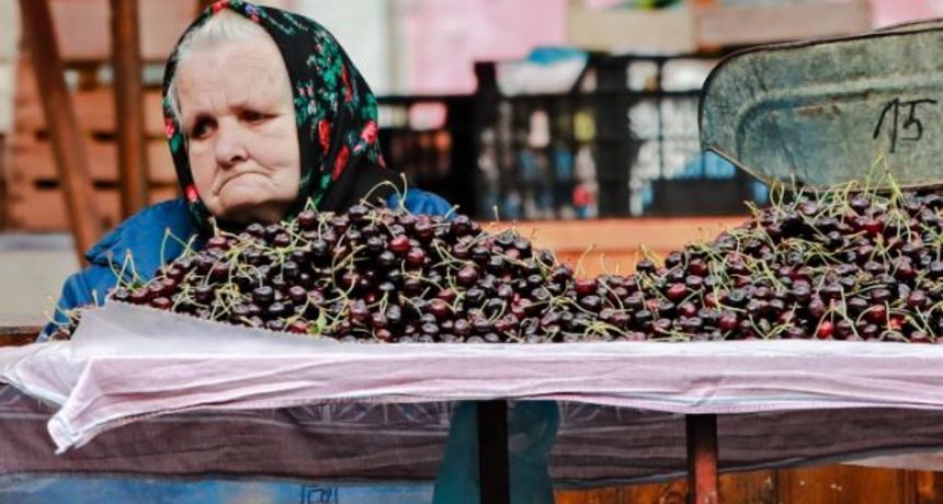 baka tržnica pixsell sanjin strukić