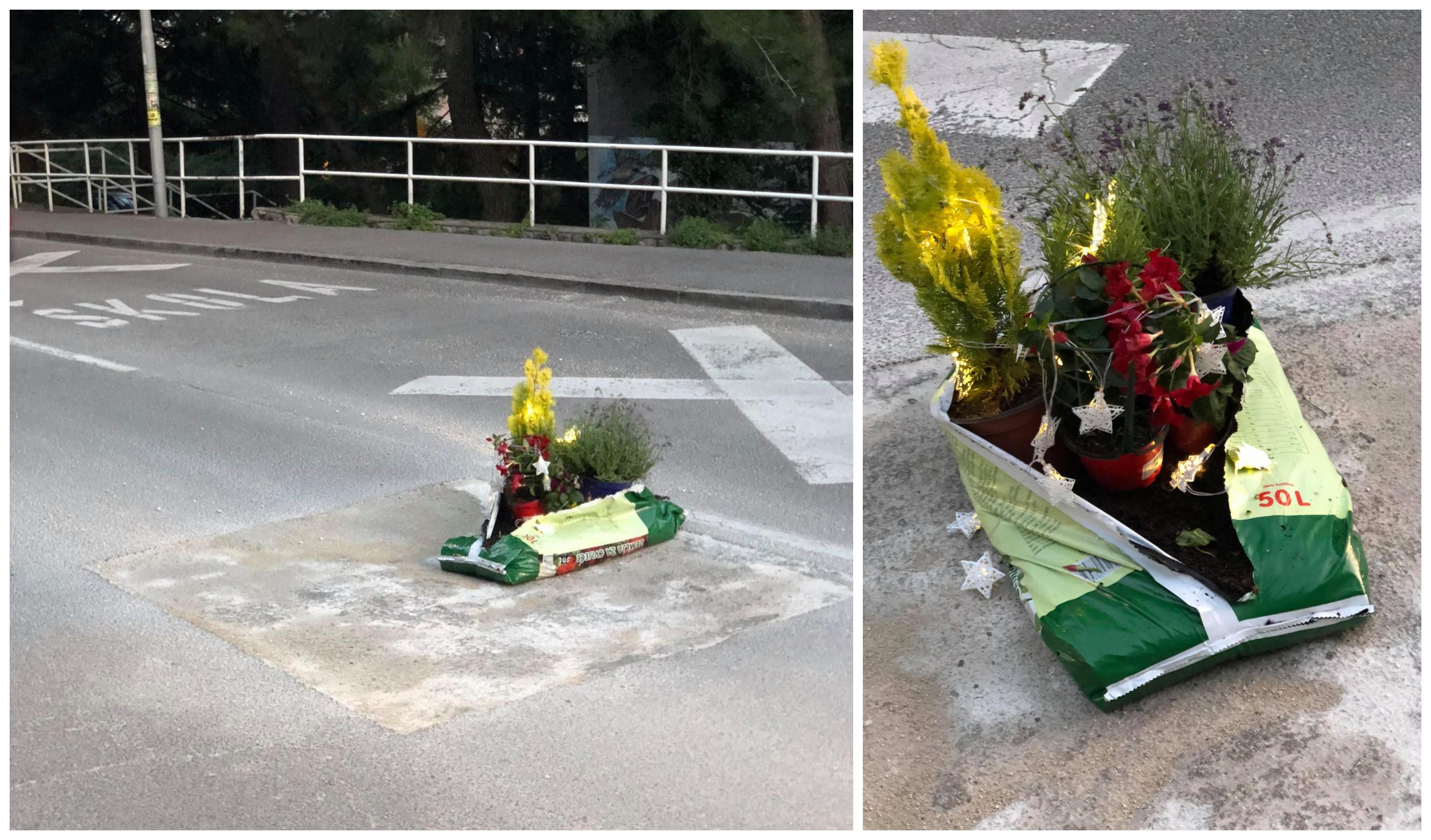 turnić cvijeće cesta turnić cvijeće cesta