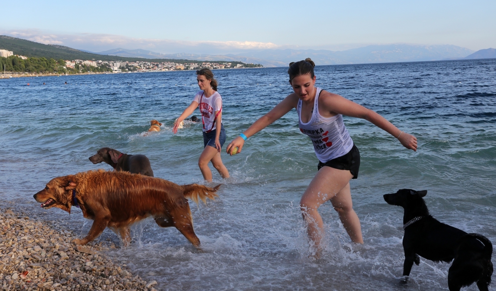 Crikvenica: 4. plivačko natjecanje pasa i njihovih vlasnika Monty Underdog Marathon Crikvenica: 4. plivačko natjecanje pasa i njihovih vlasnika Monty Underdog Marathon