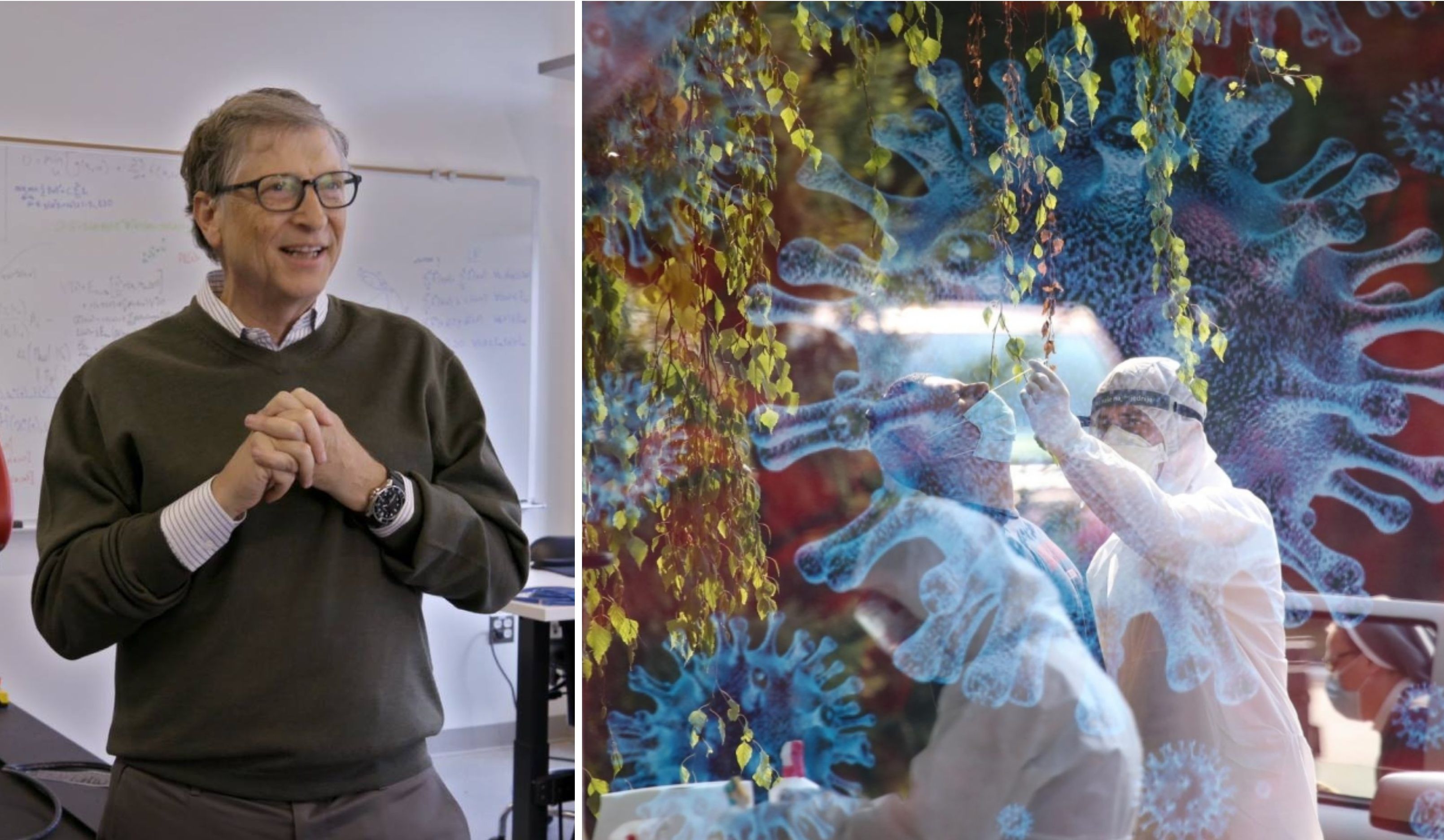 bill gates korona