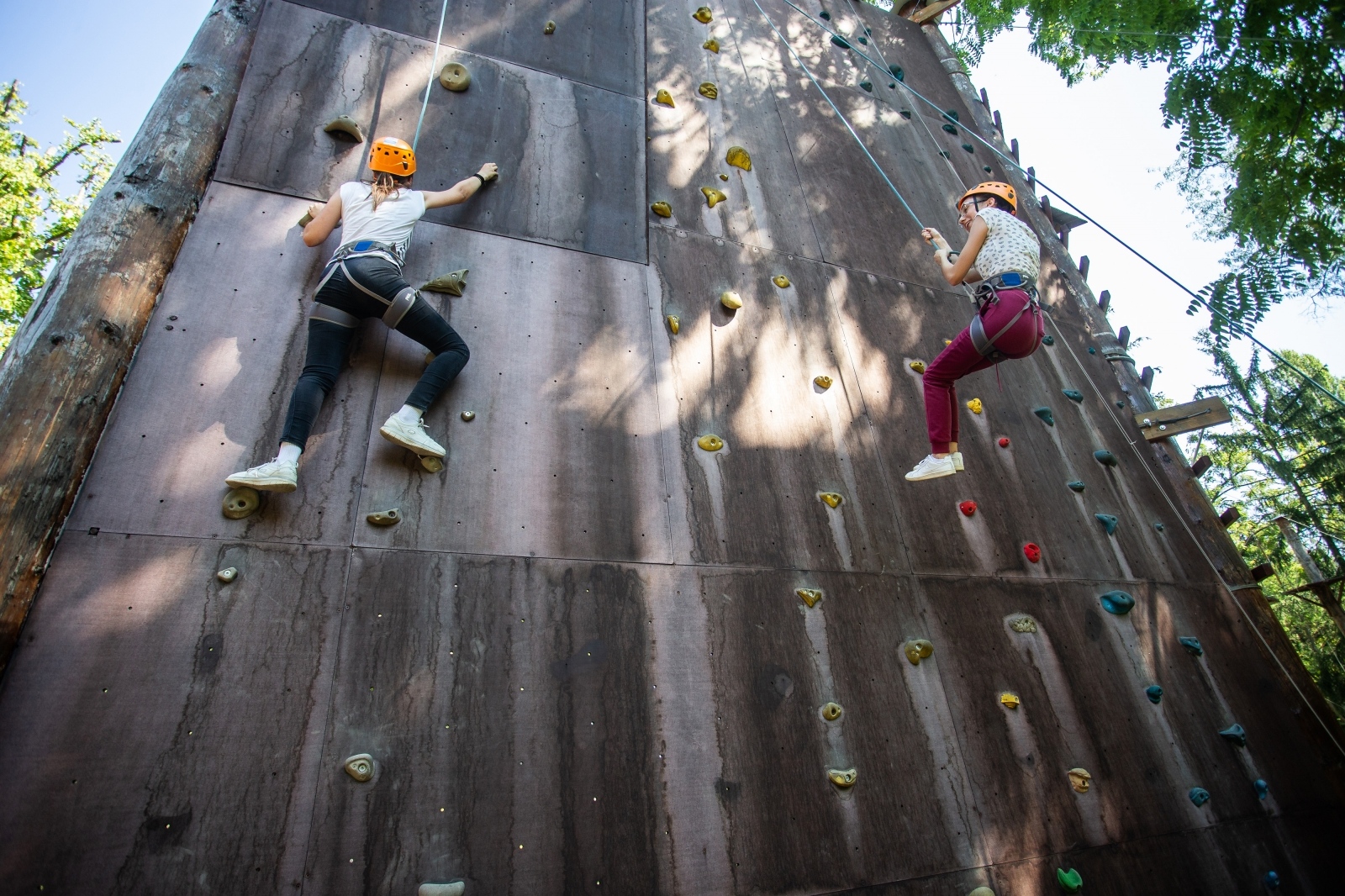 Adrenalinski park u Eko centru Zlatna greda Adrenalinski park u Eko centru Zlatna greda