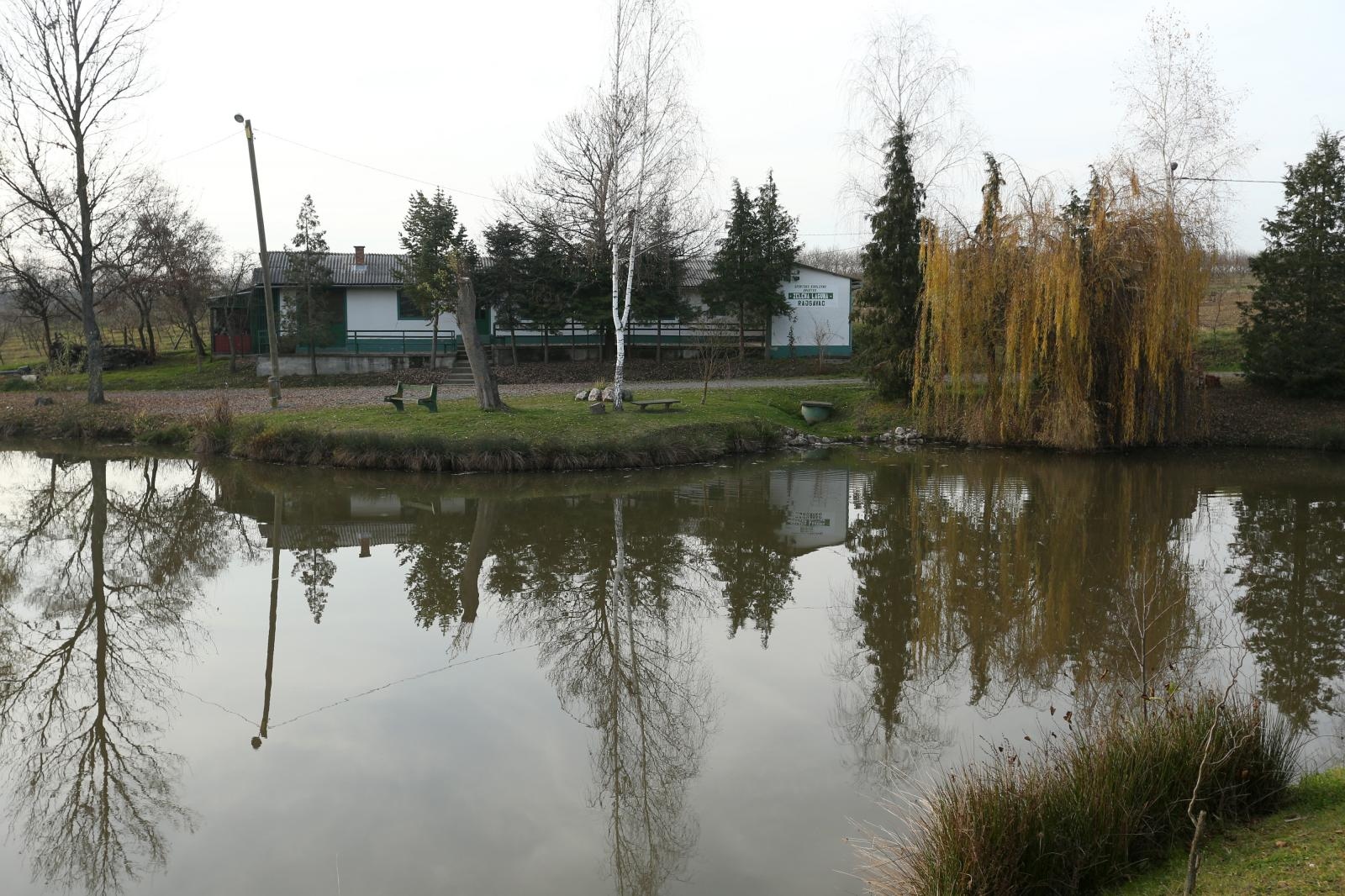 PXL_251116_14852254