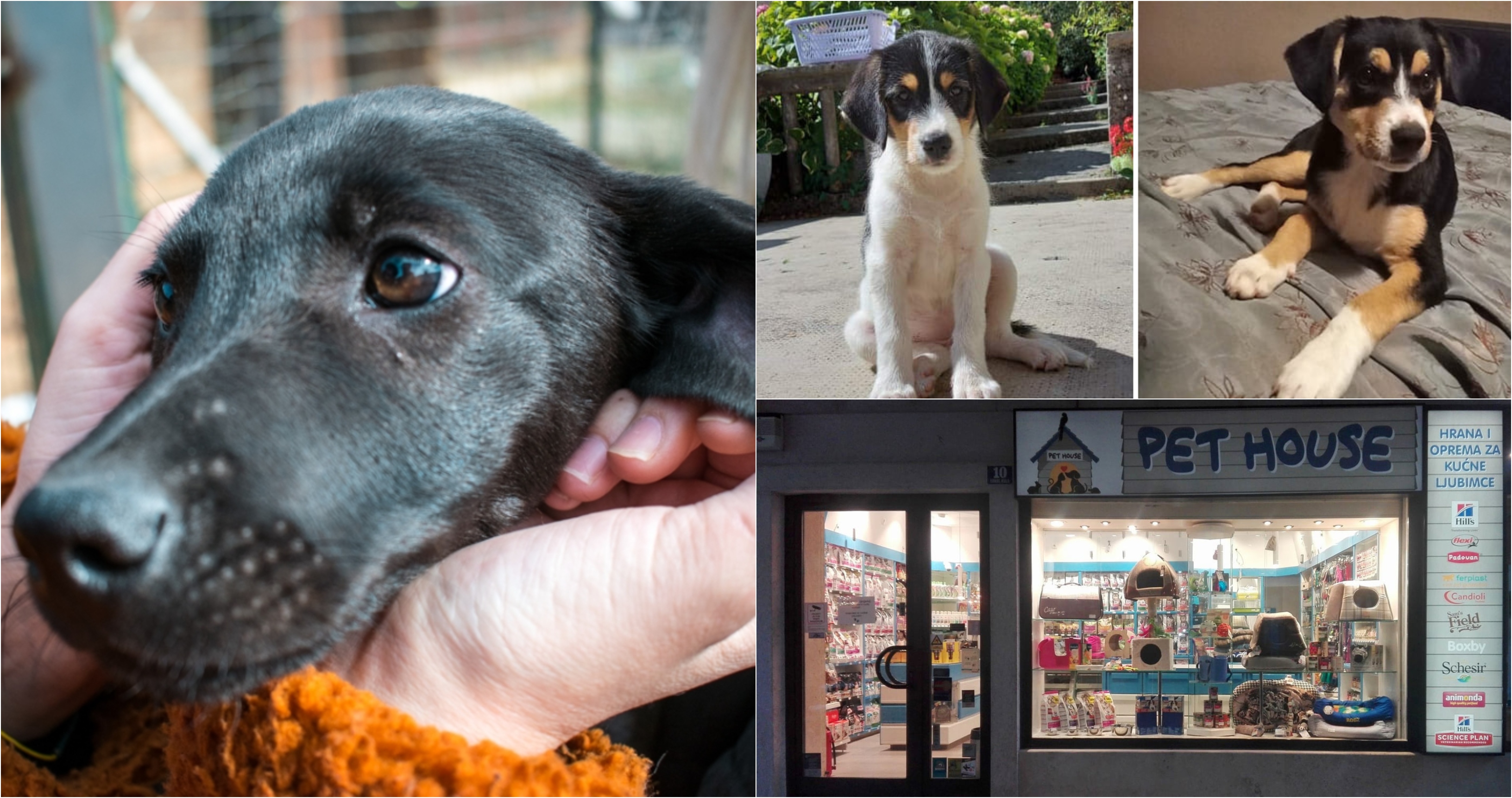 Trgovina Pet House (1)