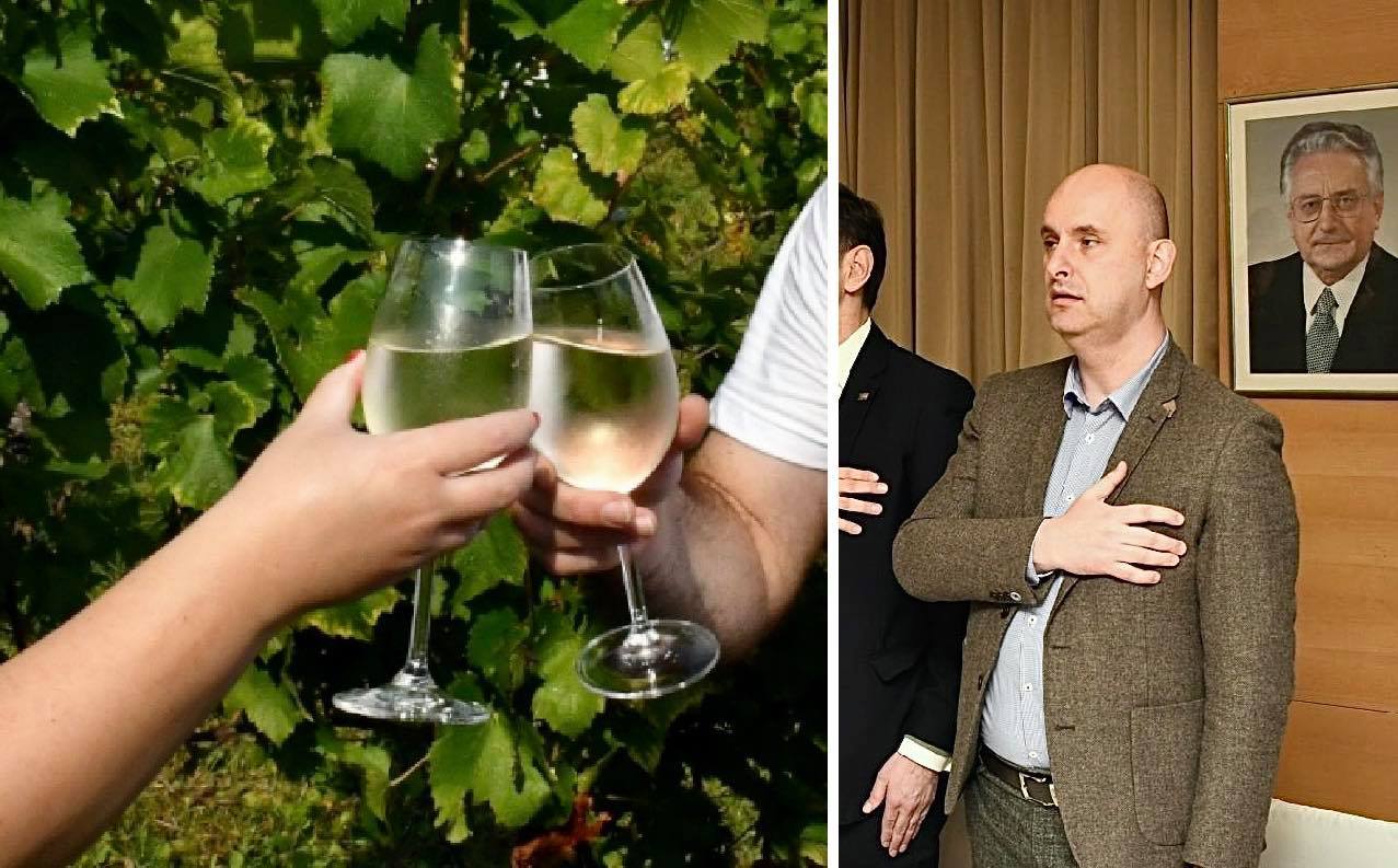 vinar poticaji tolušić