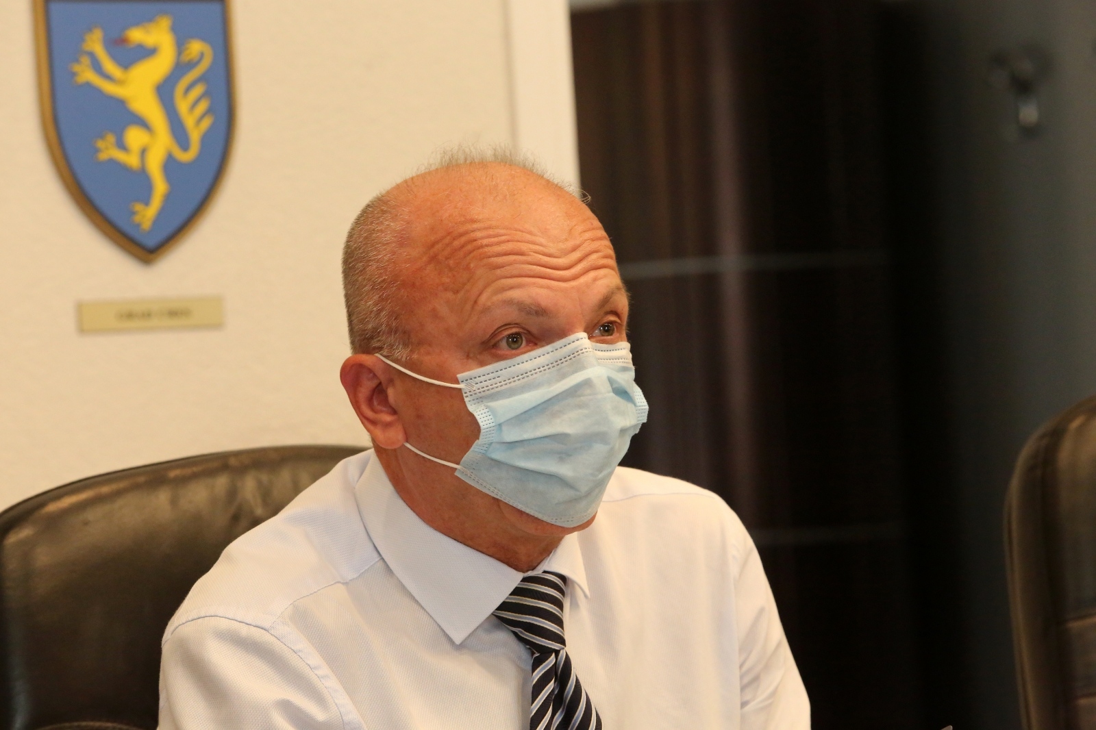 vladimir micovic