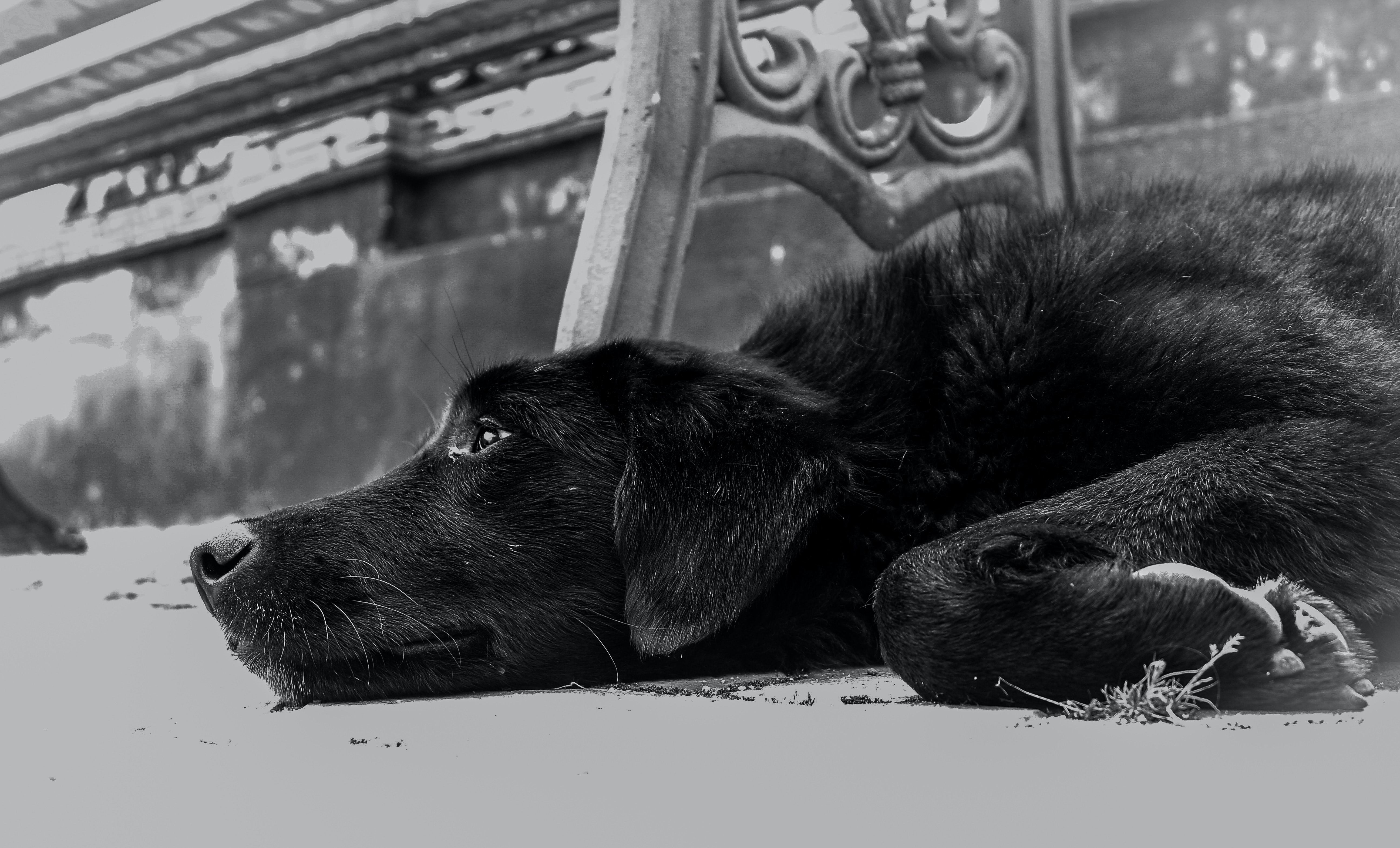 pexels-sandipan-ghosh-733555
