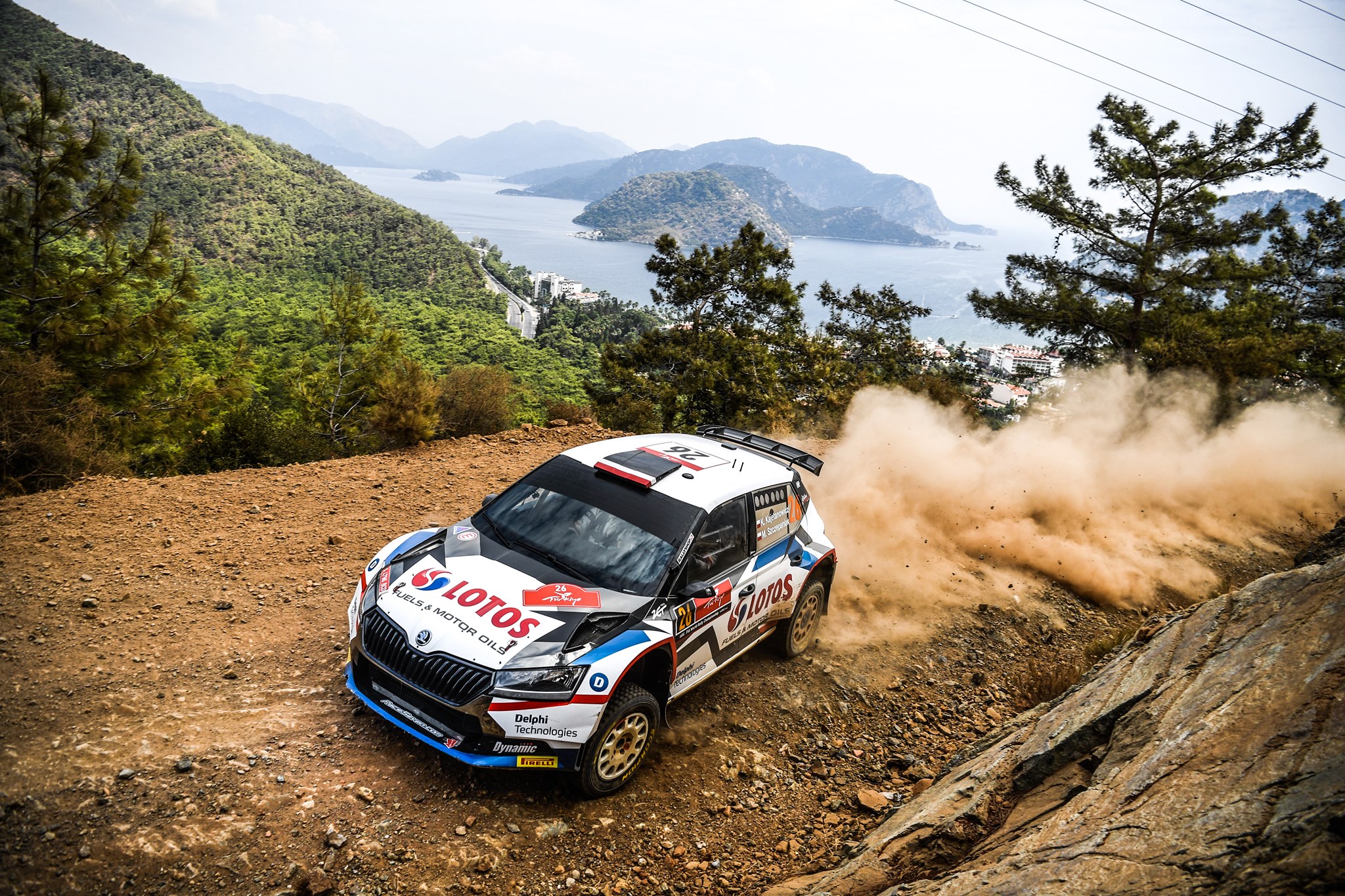 wrc official 13