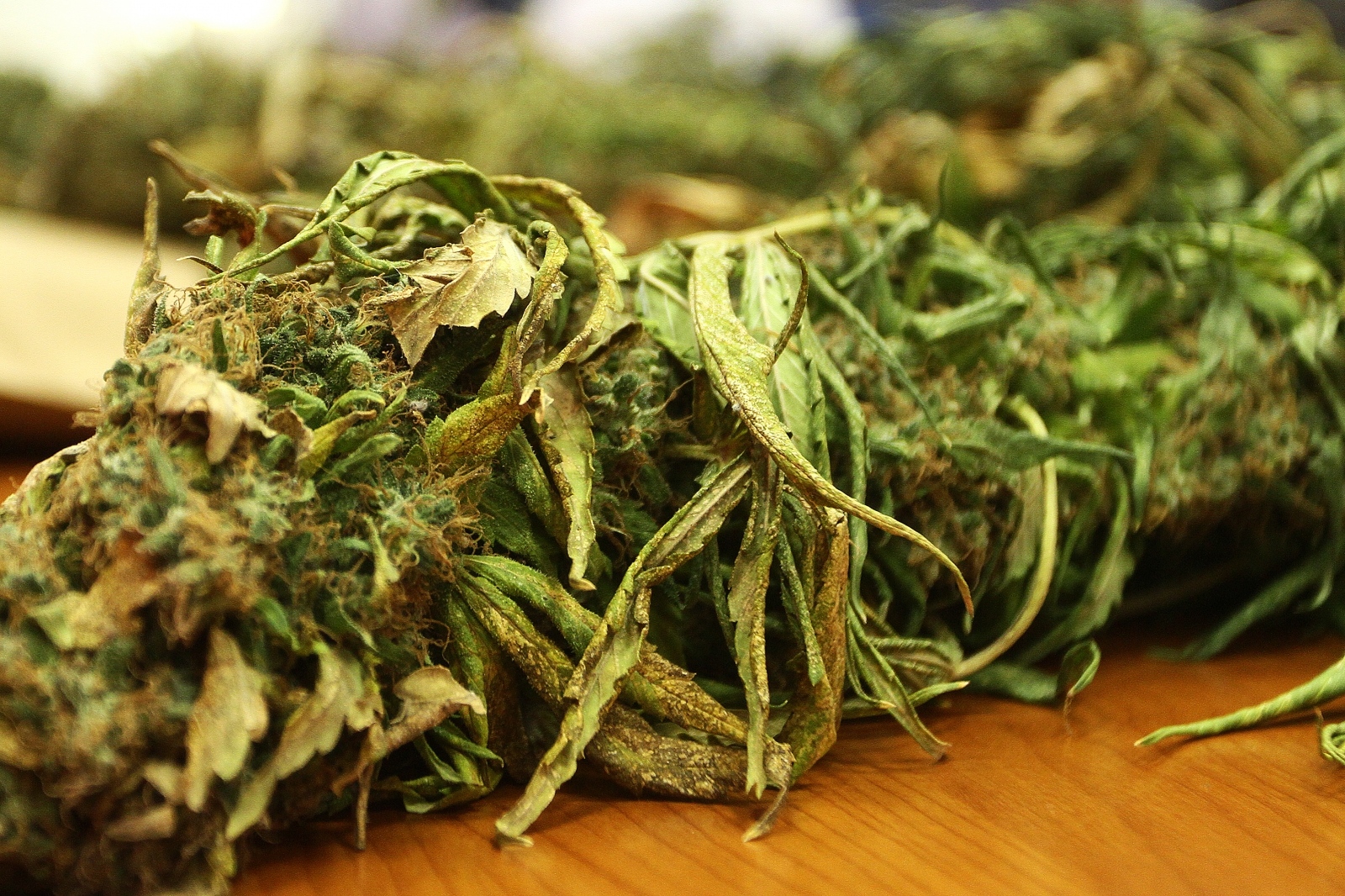 marihuana marihuana