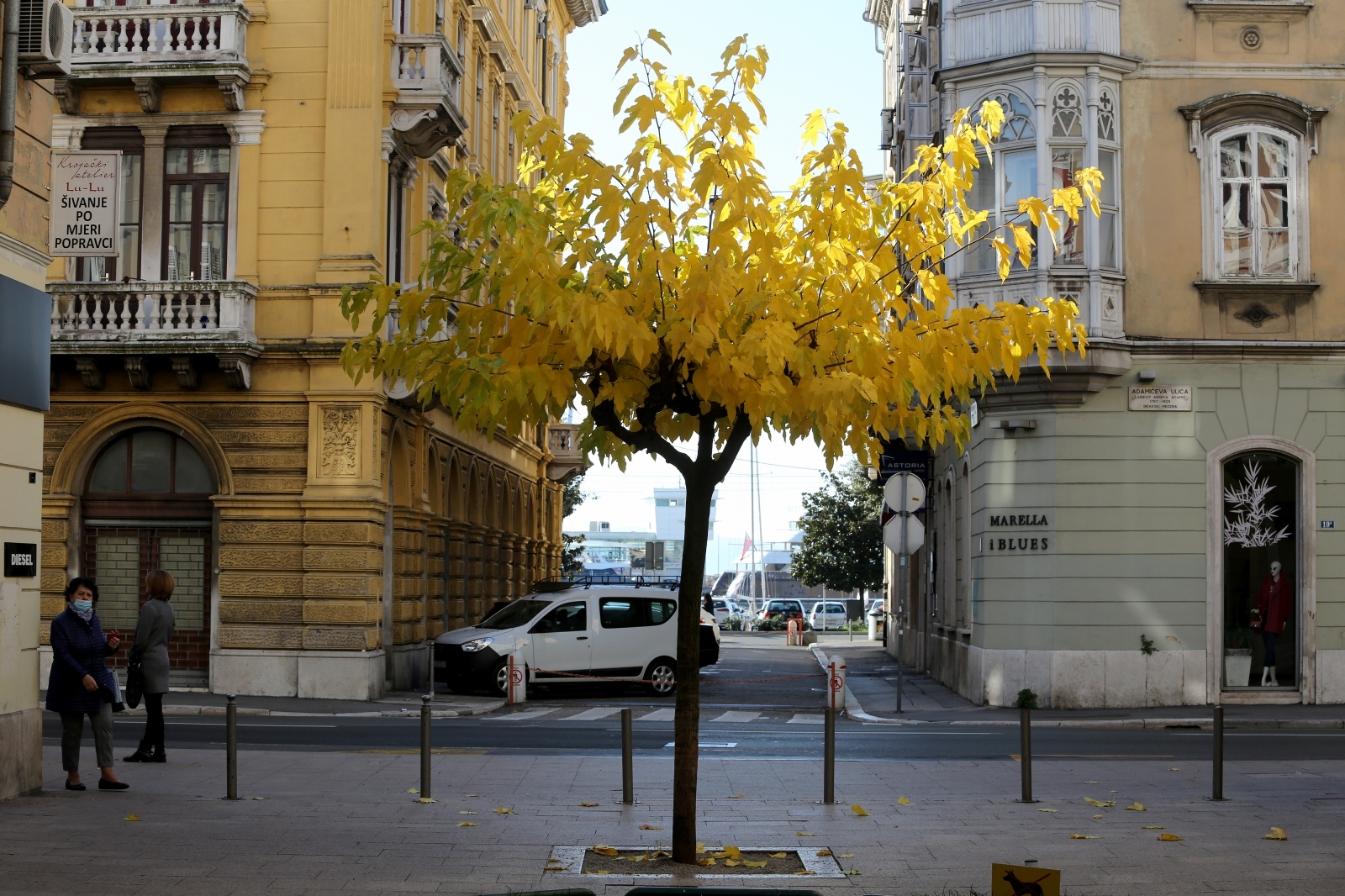 Rijeka: Stablo žutog lišća obojilo centar grada