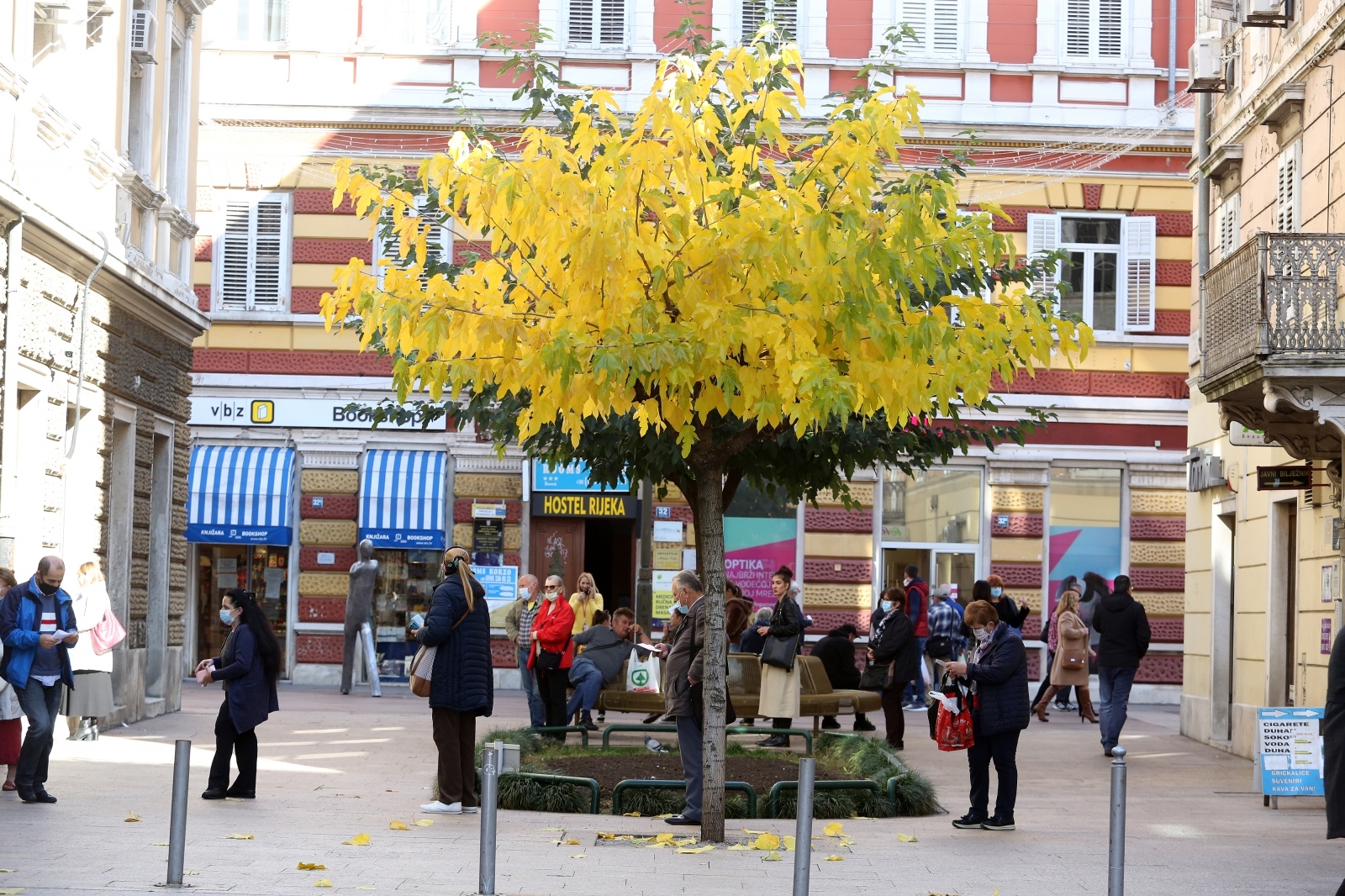 Rijeka: Stablo žutog lišća obojilo centar grada