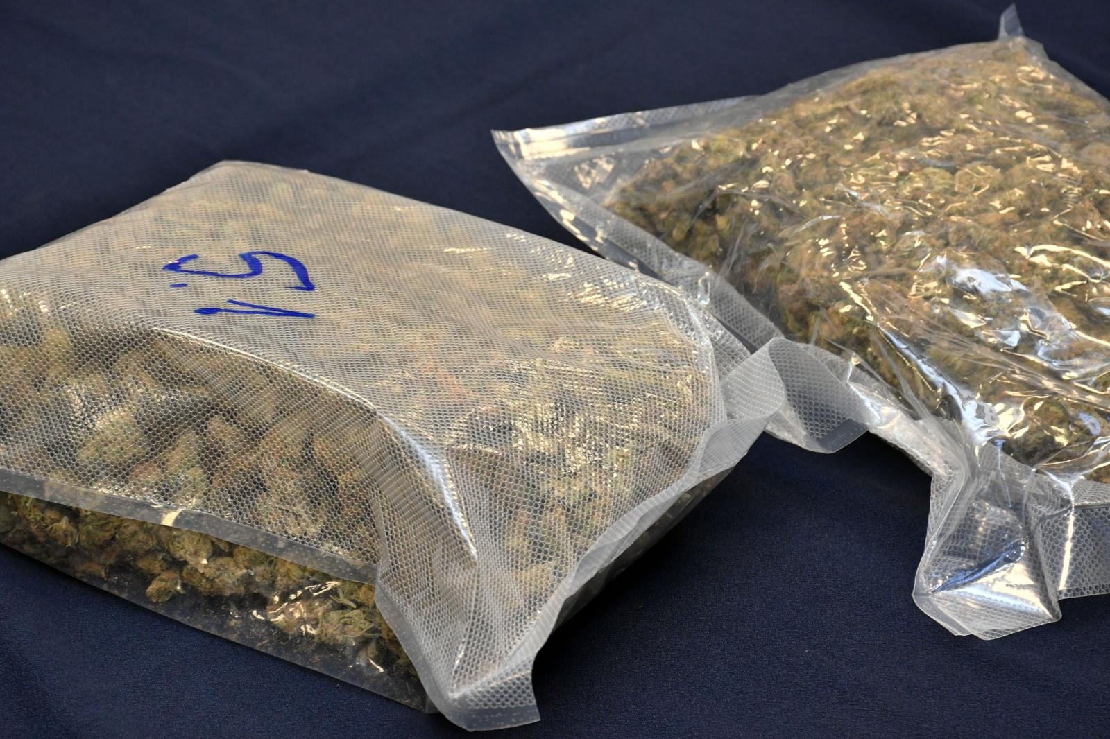 MARIHUANA TRAVA DROGA