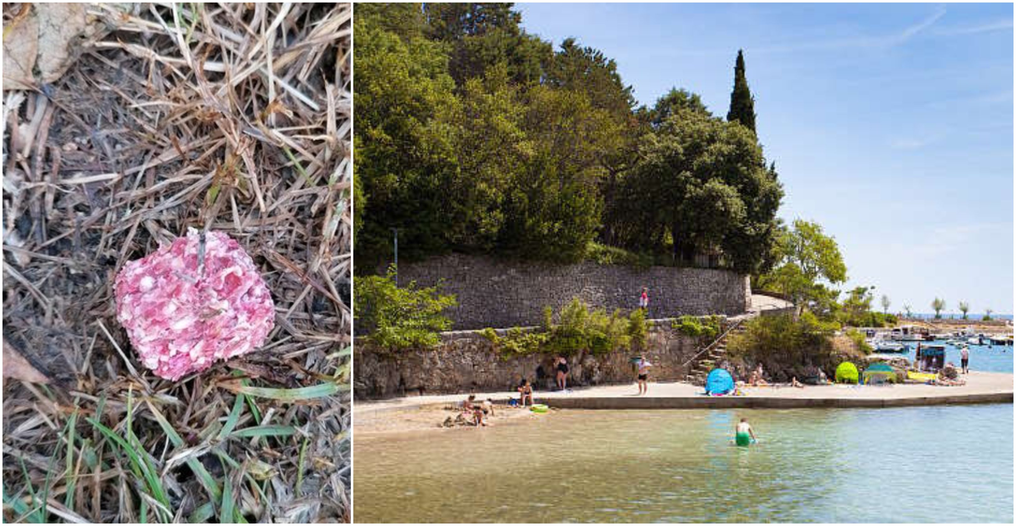 otrov plaža portapisana naslovna otrov plaža portapisana naslovna