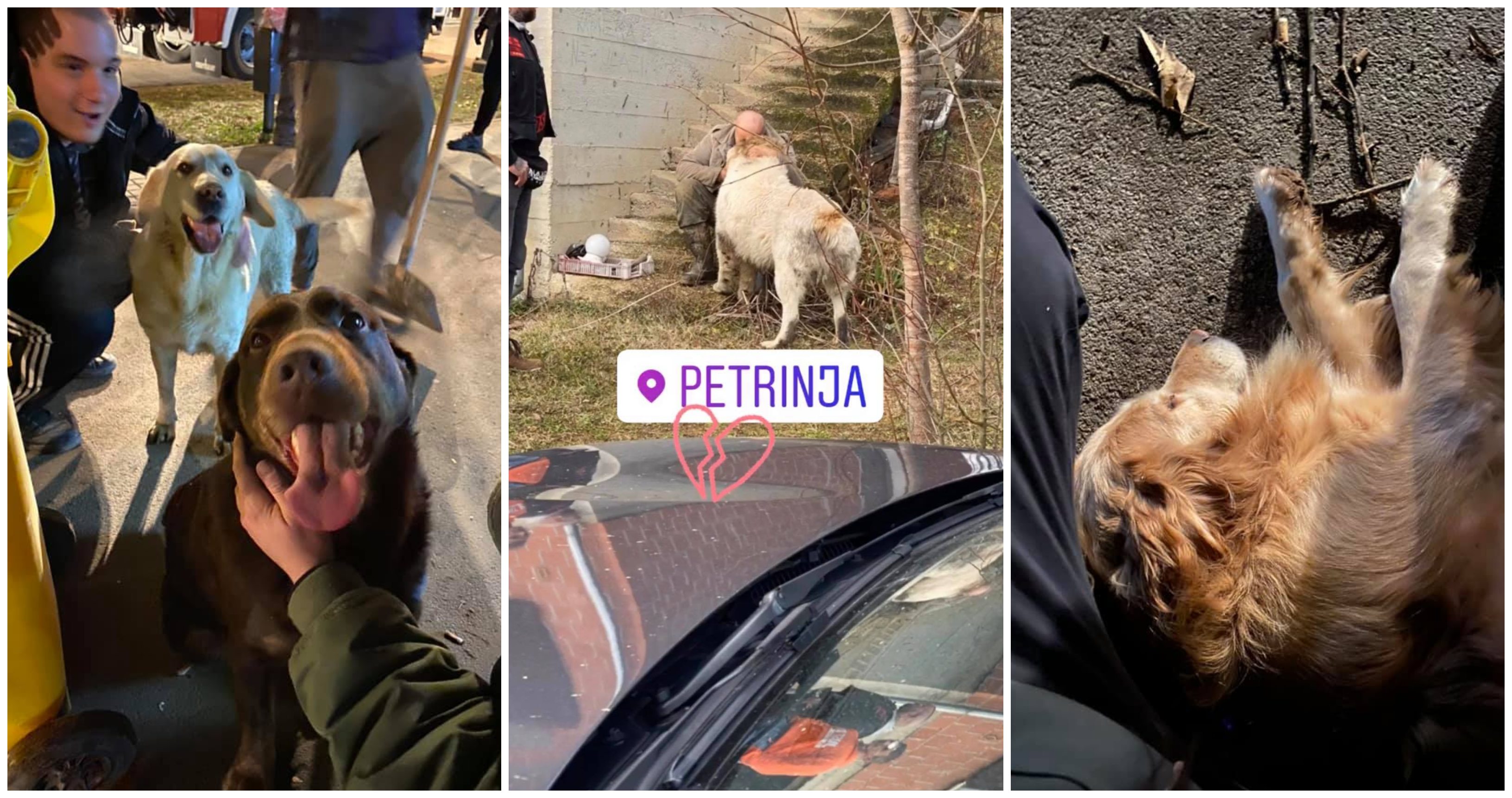 potraga psi čip naslovna