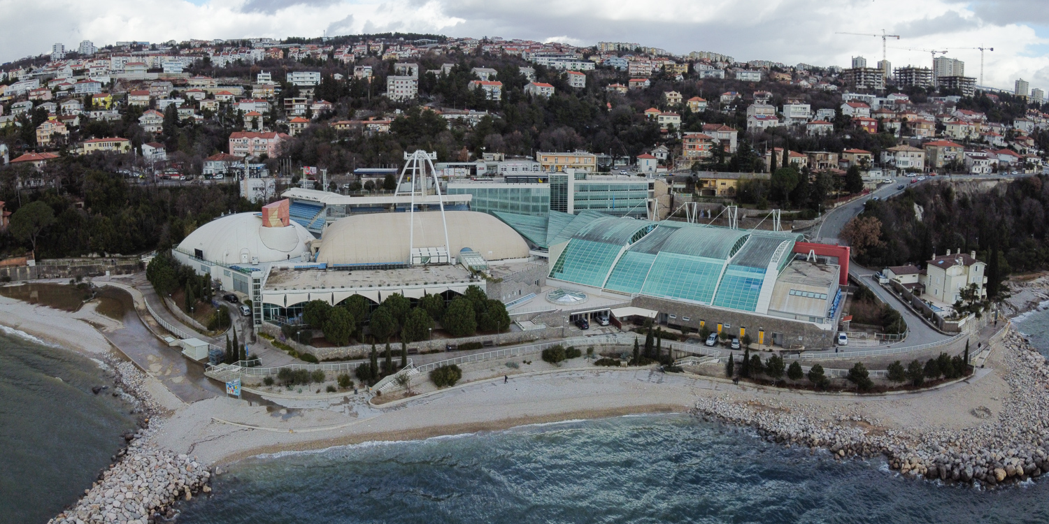 DCIM101MEDIADJI_0218.JPG